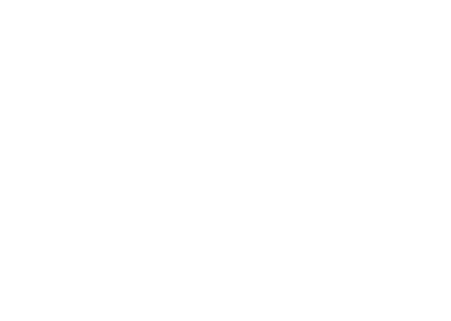 tidy Joe Video Logo